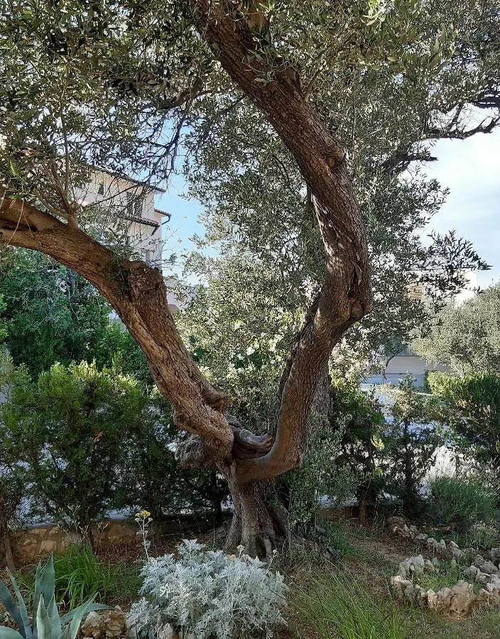 Apartments By The Sea Supetarska Draga - Donja, Rab - 15983 Croatia